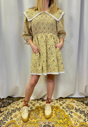 
            
                Load image into Gallery viewer, Big Collar Mini Dress
            
        