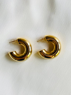 DAISY Thick Circle Hoop Earrings